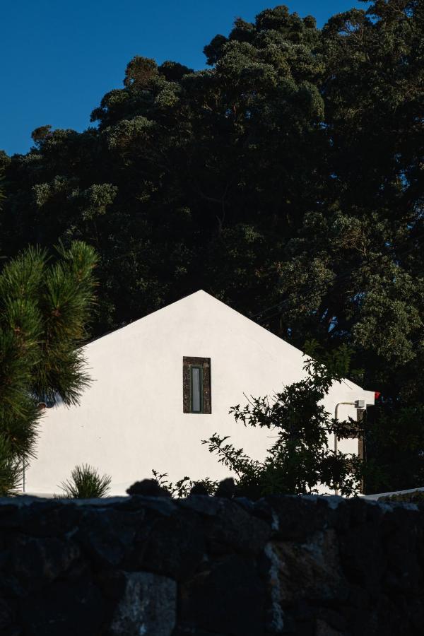 Entre Muros - Turismo Rural - Casa Com Jardim E Acesso Direto Ao Mar Ribeira Grande Ngoại thất bức ảnh